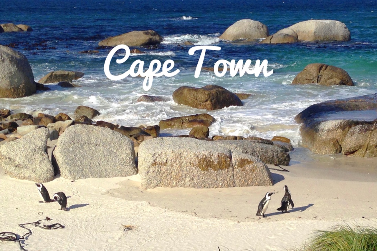 Top 5 things to do while in Cape Town